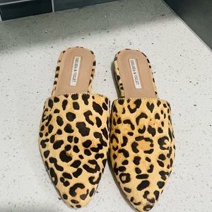 Chelsea & Violet Shoes